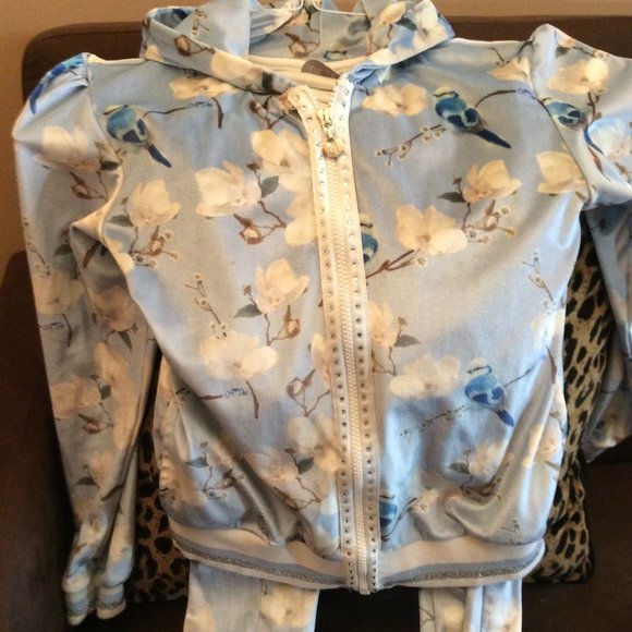 Powder Blue Girl's hooded jogging suit with crystal zipper by A Dee, Size 12 - Picture 2 of 3